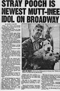 New York Post article