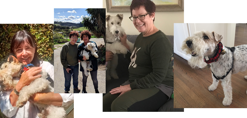 Several new adopters and their adopted pets.