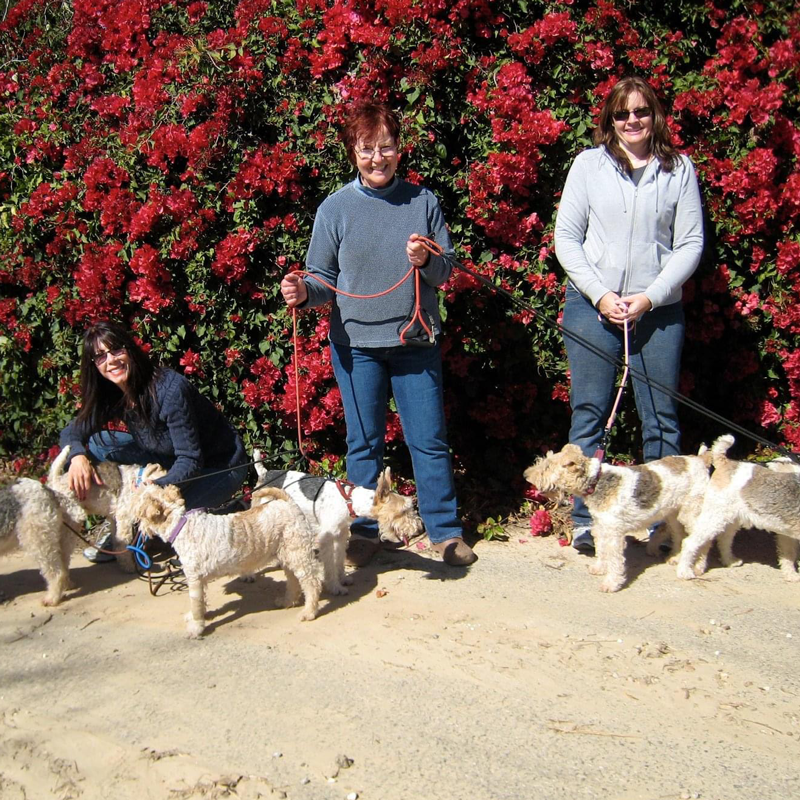 ATRA President (center) walks rescues with volunteers.