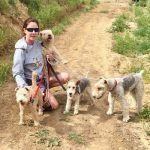 An ATRA volunteer walks dogs at the ATRA rescue.